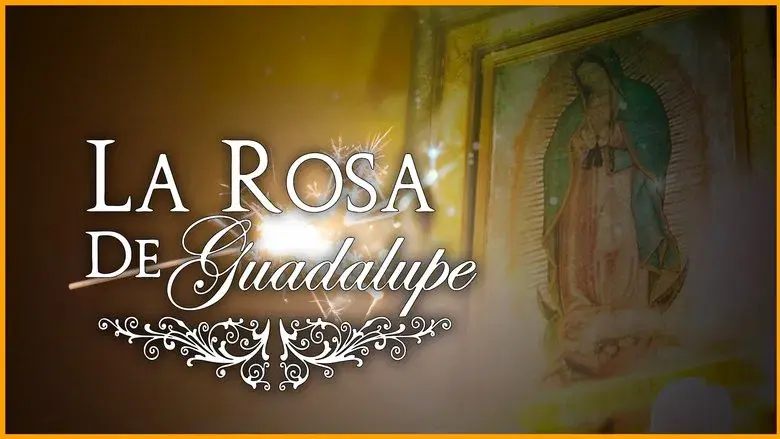 La rosa de Guadalupe - Fondo