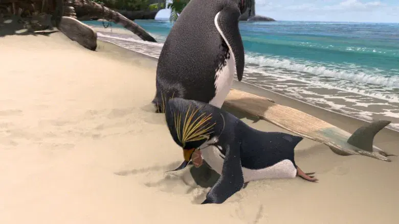 Locos por el surf - Fondo