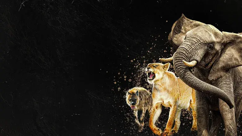 Reinas del mundo salvaje - Fondo