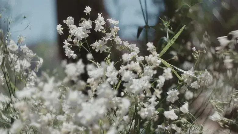 Materialistas - Fondo