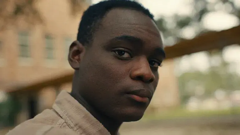 Los chicos de la Nickel - Fondo