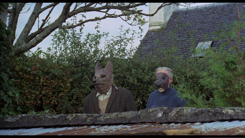 El hombre de mimbre - Fondo