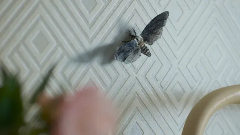 Return to Silent Hill - Fondo