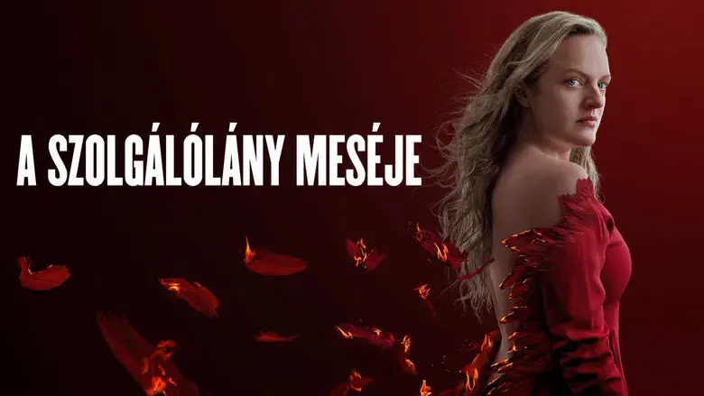 El cuento de la criada - Fondo