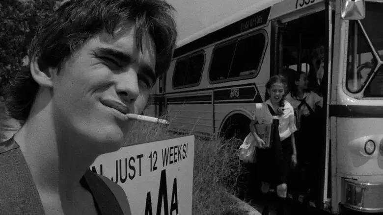 La ley de la calle - Fondo