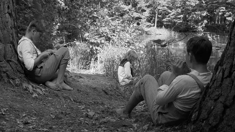 La cinta blanca - Fondo