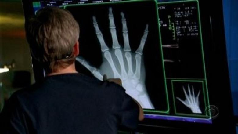 Deslumbramiento de vino y cucarachas