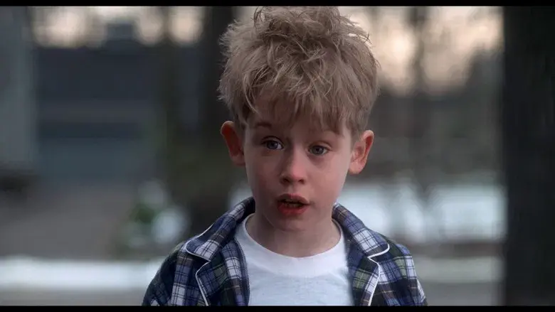 Solo en casa - Fondo