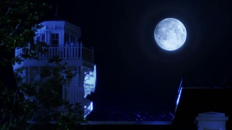 Prácticamente magia - Fondo