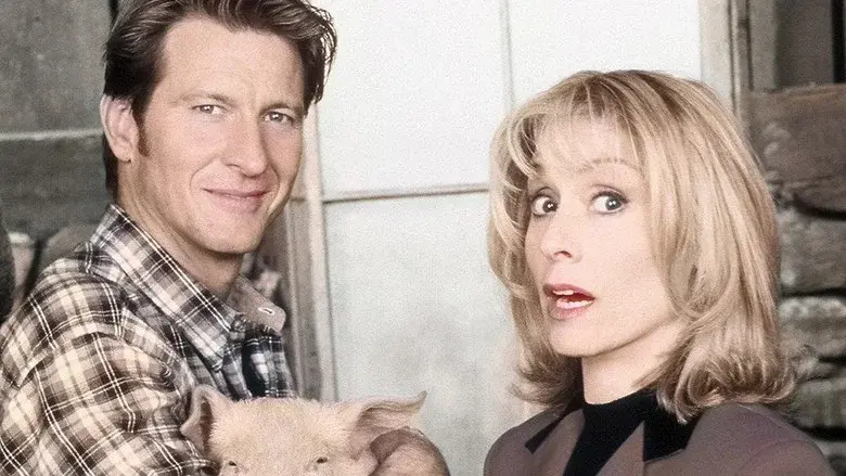 The Simple Life - Fondo