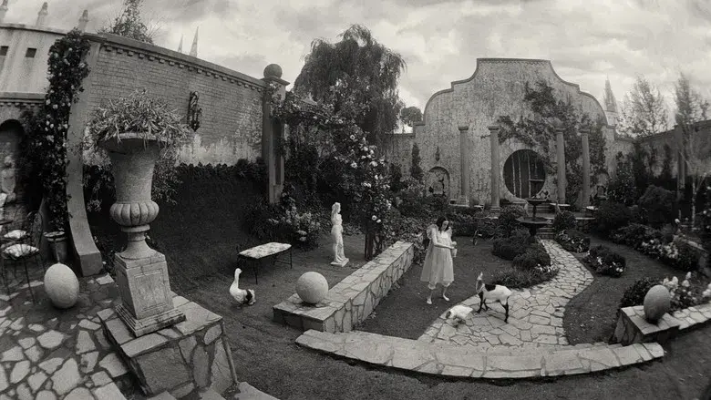 Pobres criaturas - Fondo