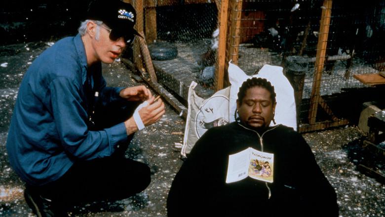 Ghost Dog, el camino del samurai - Fondo