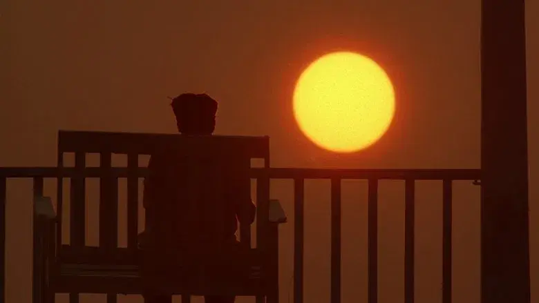 El color púrpura - Fondo