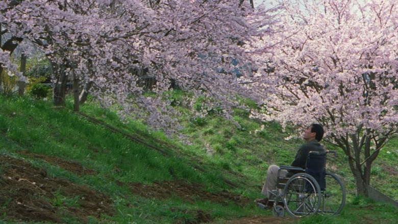 Hana-Bi: Flores de fuego - Fondo