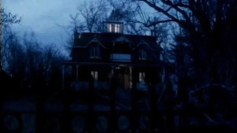 Amityville V: La maldición de Amityville - Fondo