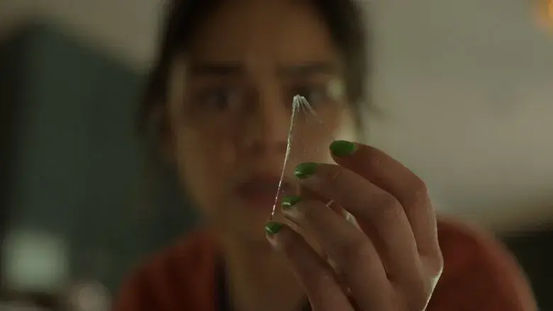 Destino final: Lazos de sangre - Fondo