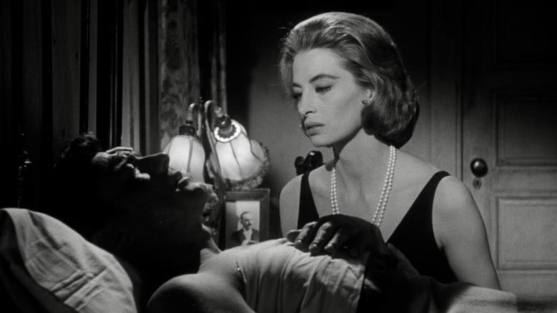 La gata negra - Fondo