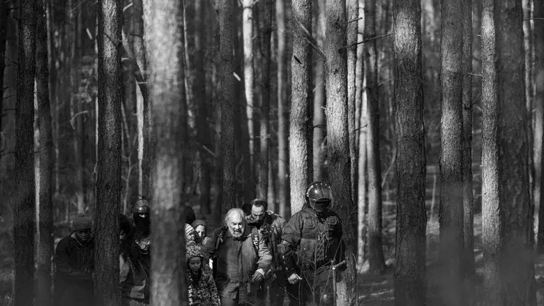 Green Border - Fondo