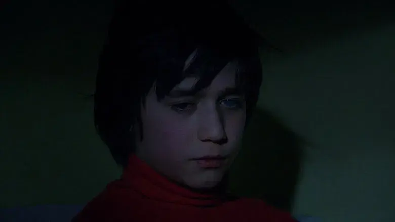 Anatomía de una caída - Fondo