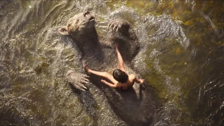 El libro de la selva - Fondo