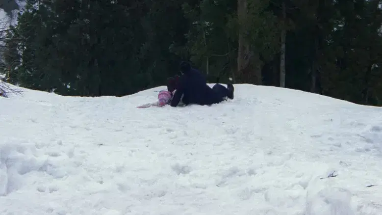 Hana-Bi: Flores de fuego - Fondo