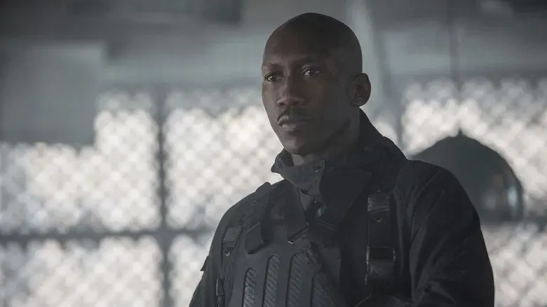 Los Juegos del Hambre: Sinsajo - Parte 2 - Fondo