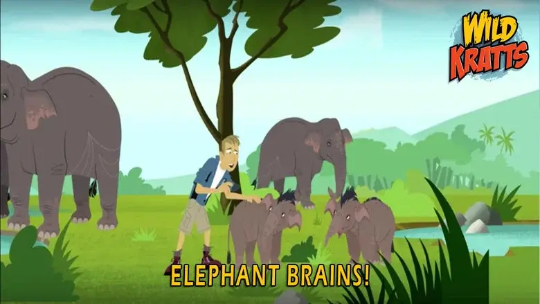 Episodio 8