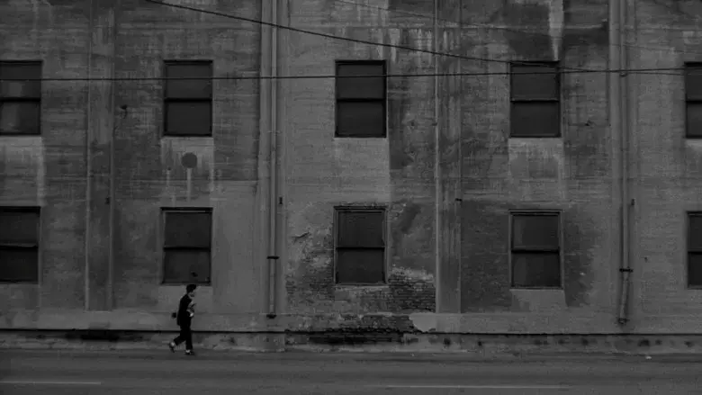 Cabeza borradora - Fondo