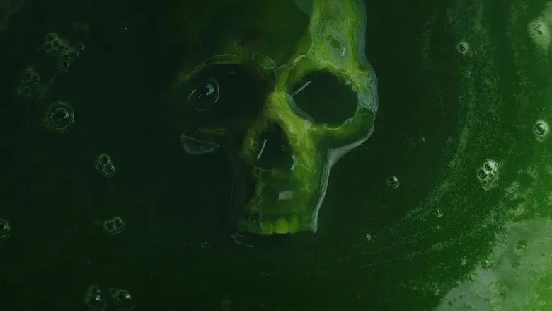 Puñales por la espalda: De entre los muertos - Fondo