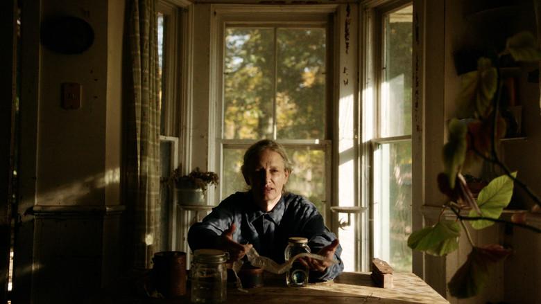 The Human Hibernation - Fondo