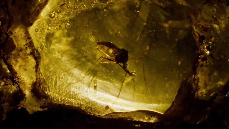 Jurassic Park (Parque Jurásico) - Fondo