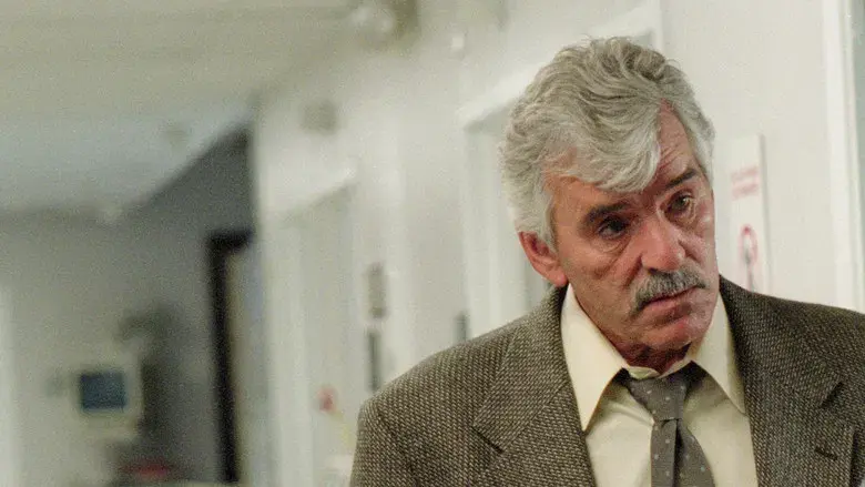 Paparazzi - Backdrop