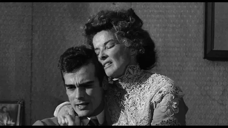 Larga jornada hacia la noche - Fondo