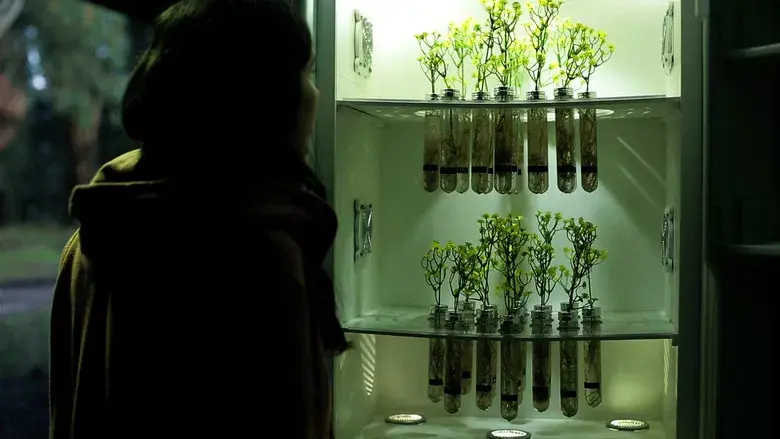 Trenque Lauquen - Fondo