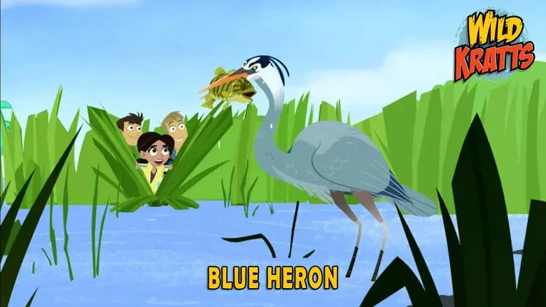 Episodio 11