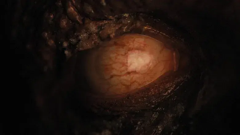 La primera profecía - Fondo