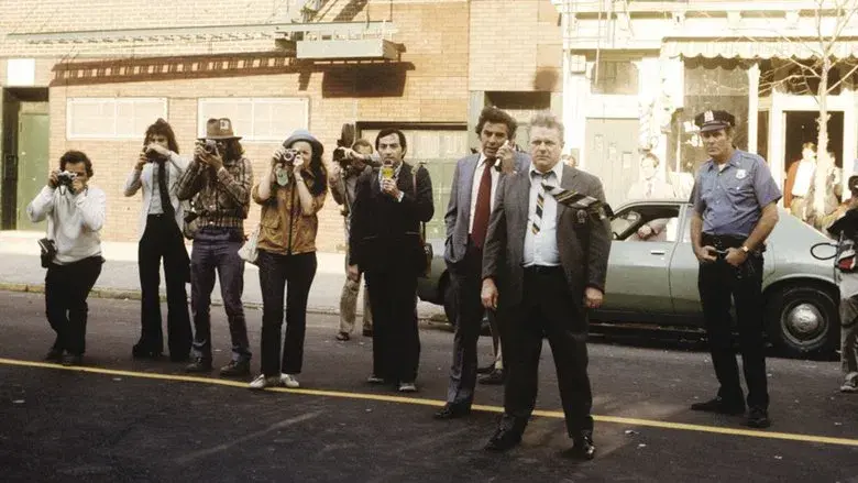 Tarde de perros - Fondo