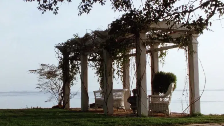 Prácticamente magia - Fondo