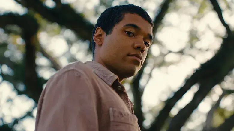 Los chicos de la Nickel - Fondo