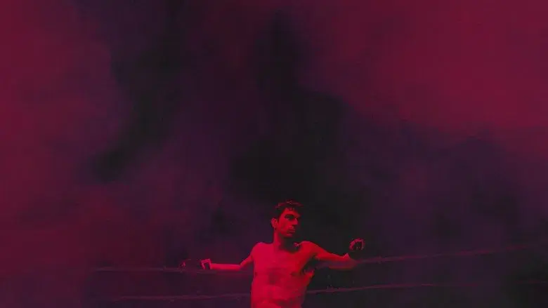 Toro salvaje - Fondo