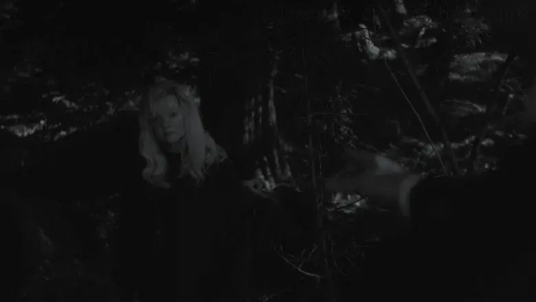 TV 동물농장 - Fondo