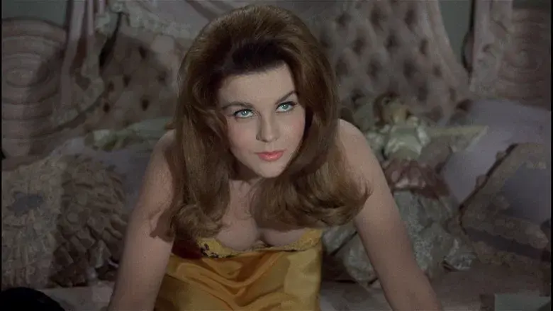 El rey del juego - Fondo