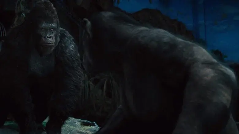 El origen del planeta de los simios - Fondo