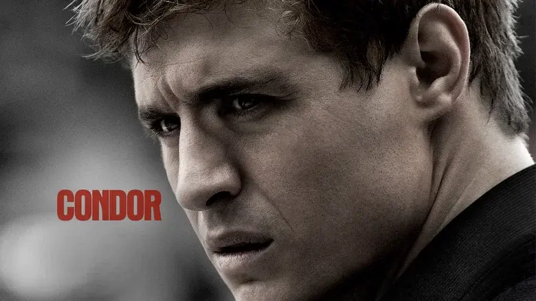 Condor - Fondo