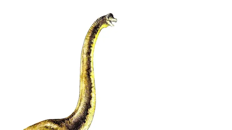 Jurassic Park (Parque Jurásico) - Fondo