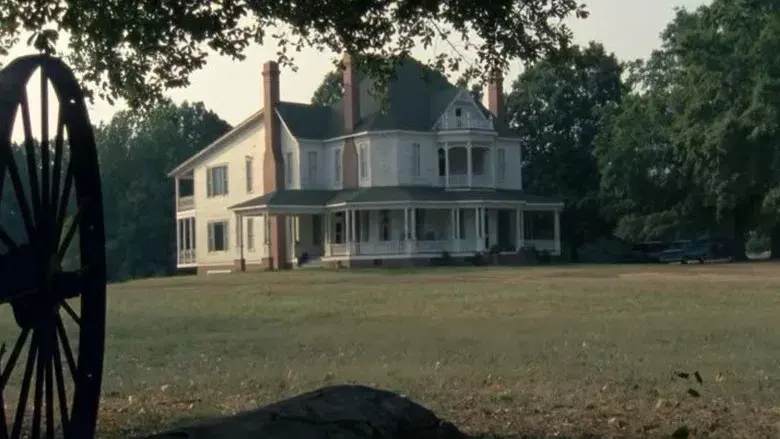 The Walking Dead - Fondo