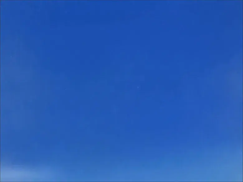 Los Demonios Blancos