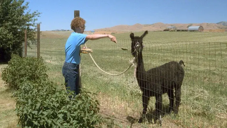 Napoleon Dynamite - Fondo