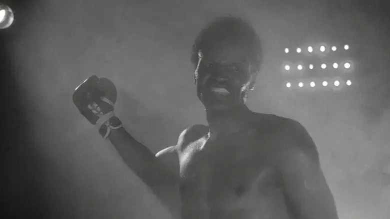 Toro salvaje - Fondo