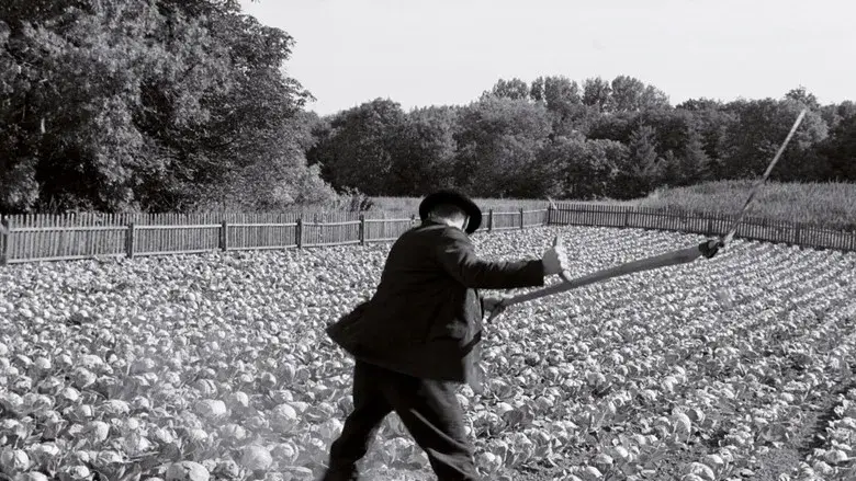 La cinta blanca - Fondo